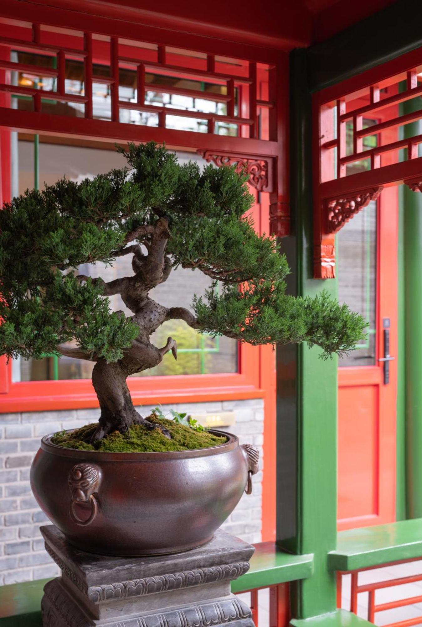 Xinxiang Yayuan Beijing Sihe Courtyard With Sky Garden Terrace Near Tiananmen Square Forbidden City Wangfujing Pedestrian Street And The Subway Bagian luar foto